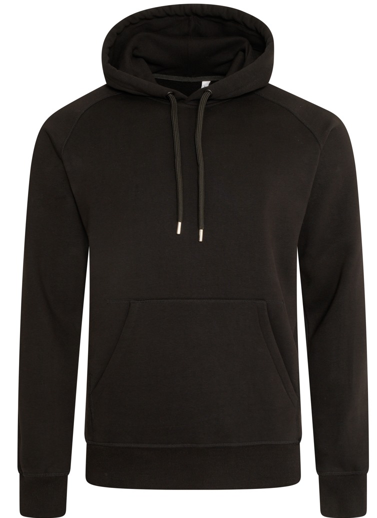 450 GSM: PREMIUM HOODIE REGULAR